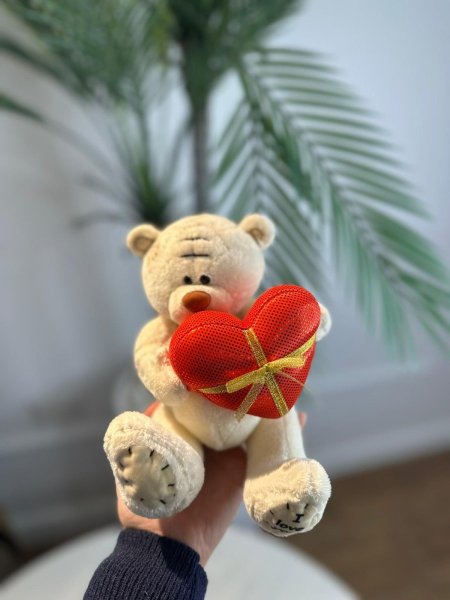 دب تيدي صغير حامل قلب